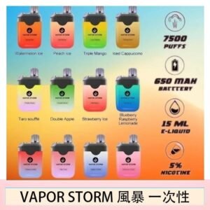 Vapor Storm風暴電子煙7500口(5%)一次性
